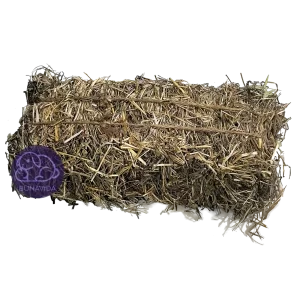 Heno pangola minipaca